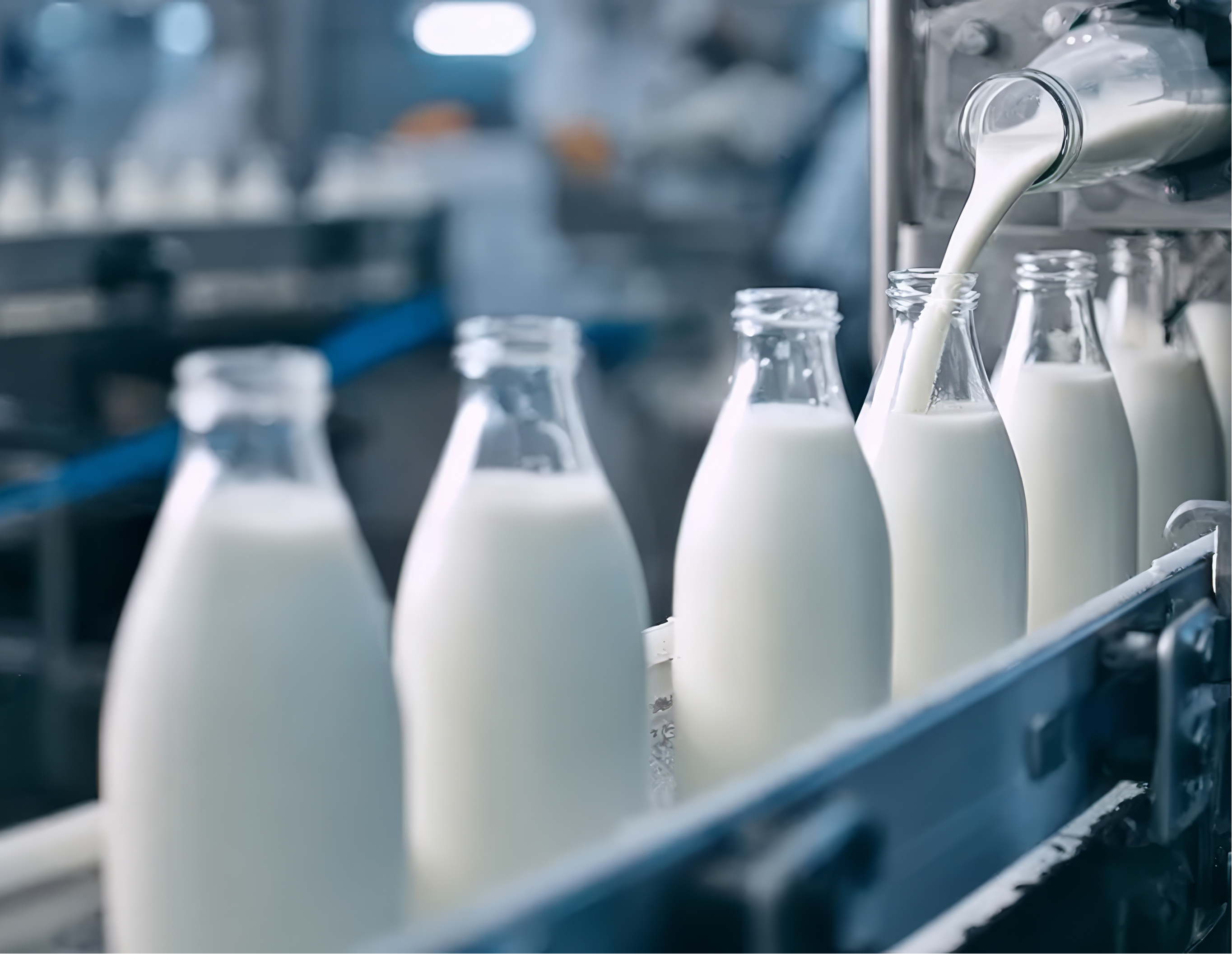 Food and Dairy Products